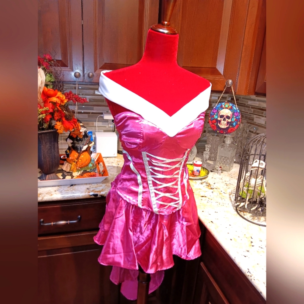 ¡SOLD¡NWOT Princess Aurora Costume
